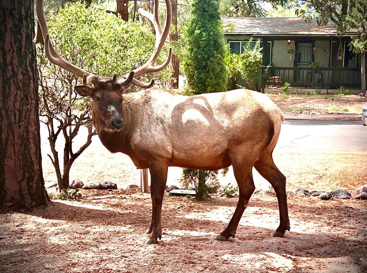 Hidden Gem Retreat In The Heart Of Payson Villa Luaran gambar