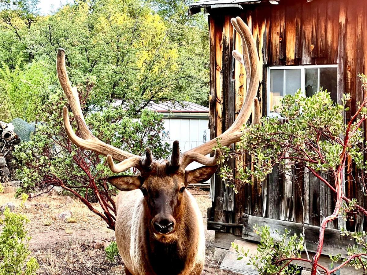 Hidden Gem Retreat In The Heart Of Payson Villa Luaran gambar